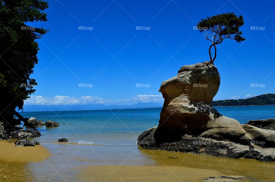 New Zealand Beach