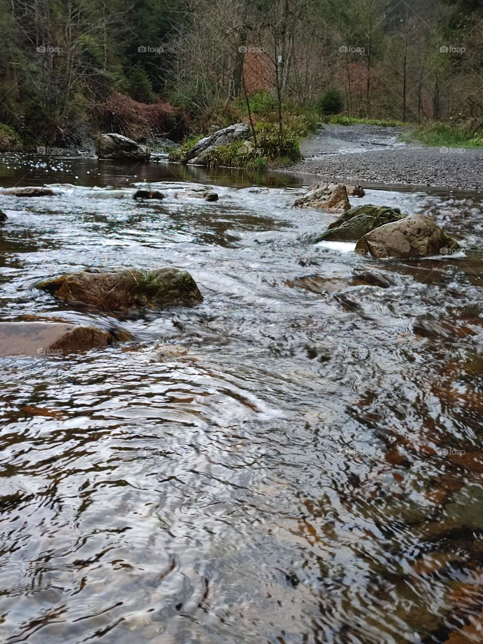 Walk in the woods, Bayehon waterfall