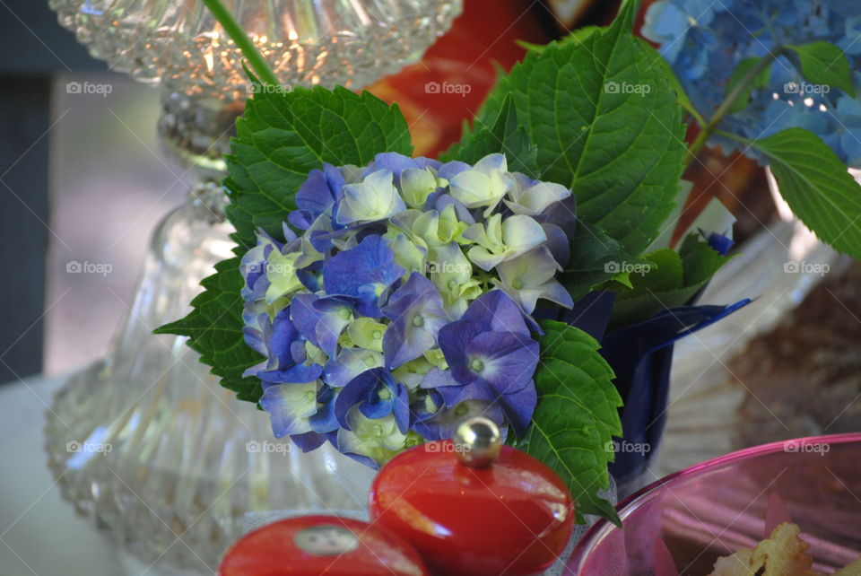Hydrangeas and Red Salt and Pepper Shakers for Center Piece of Picnic Table