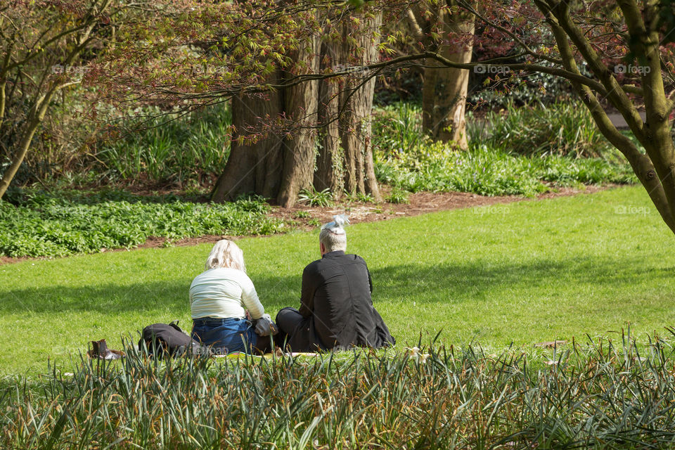 Relaxing in the park and enjoying the fair weather and beautiful nature