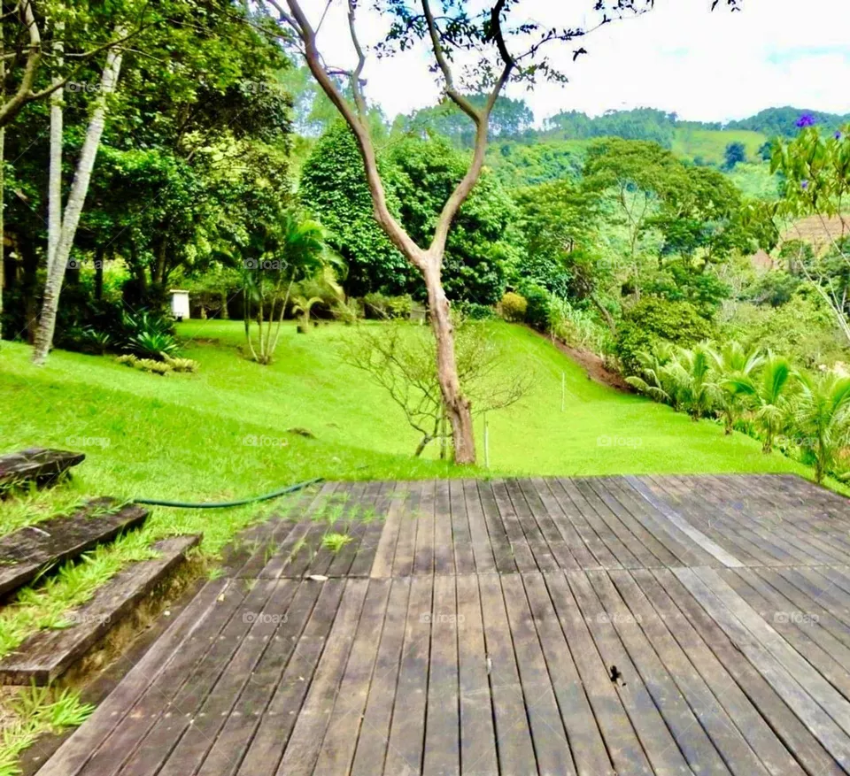 very green