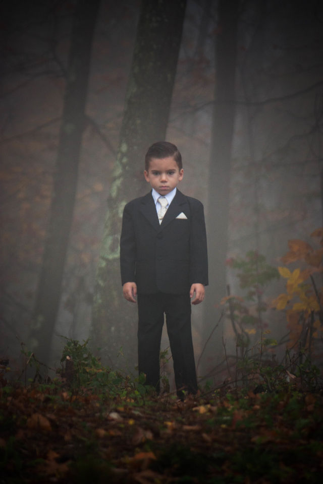 The Boy in the Woods
