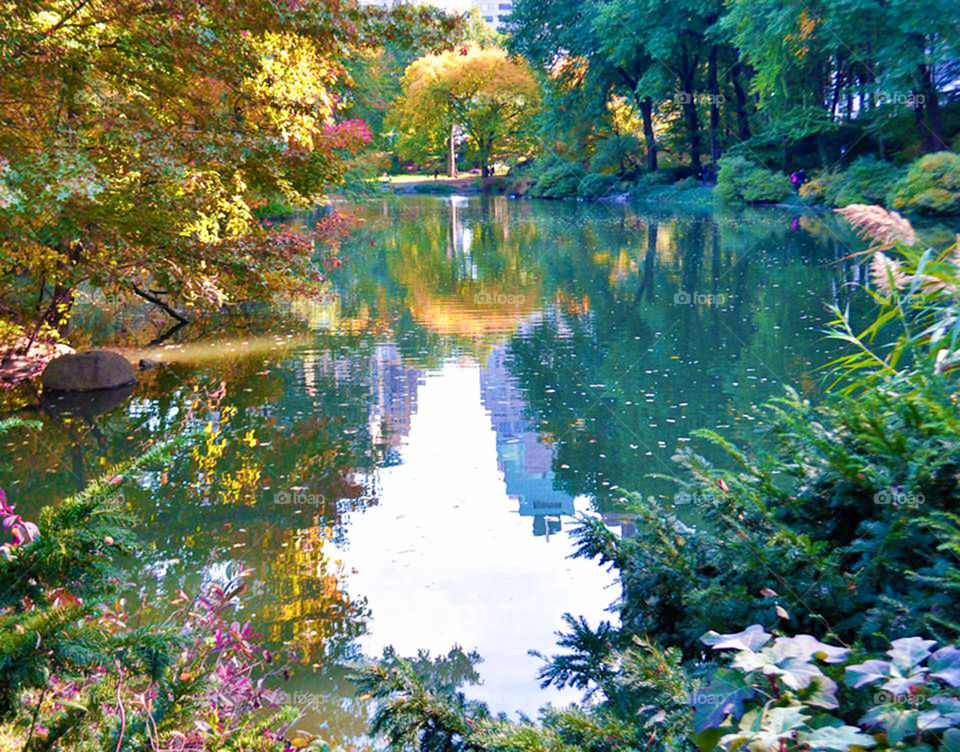 Central Park. Glorious autumn scene in Central Park New York