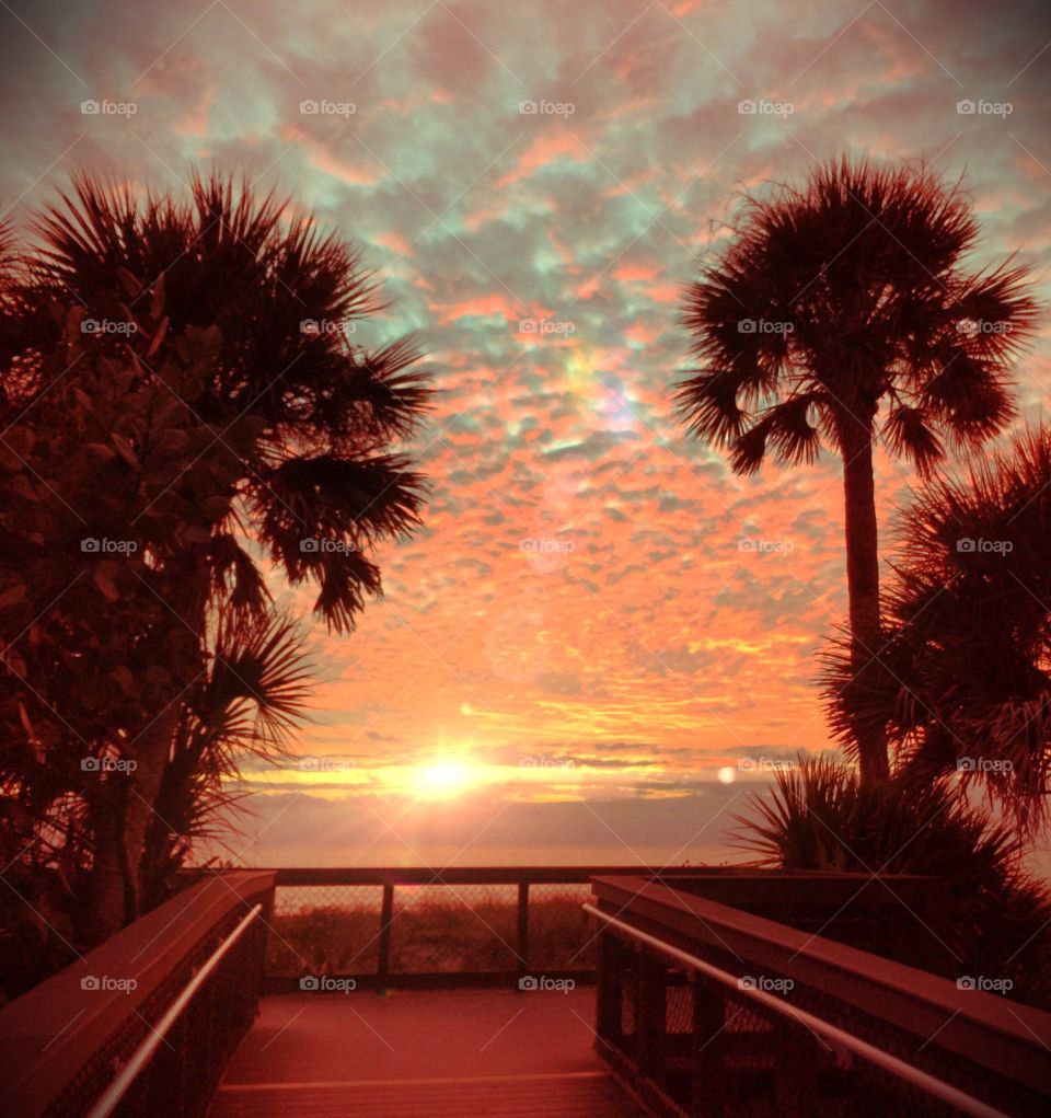 Boardwalk. Boardwalk at the golden hour.
