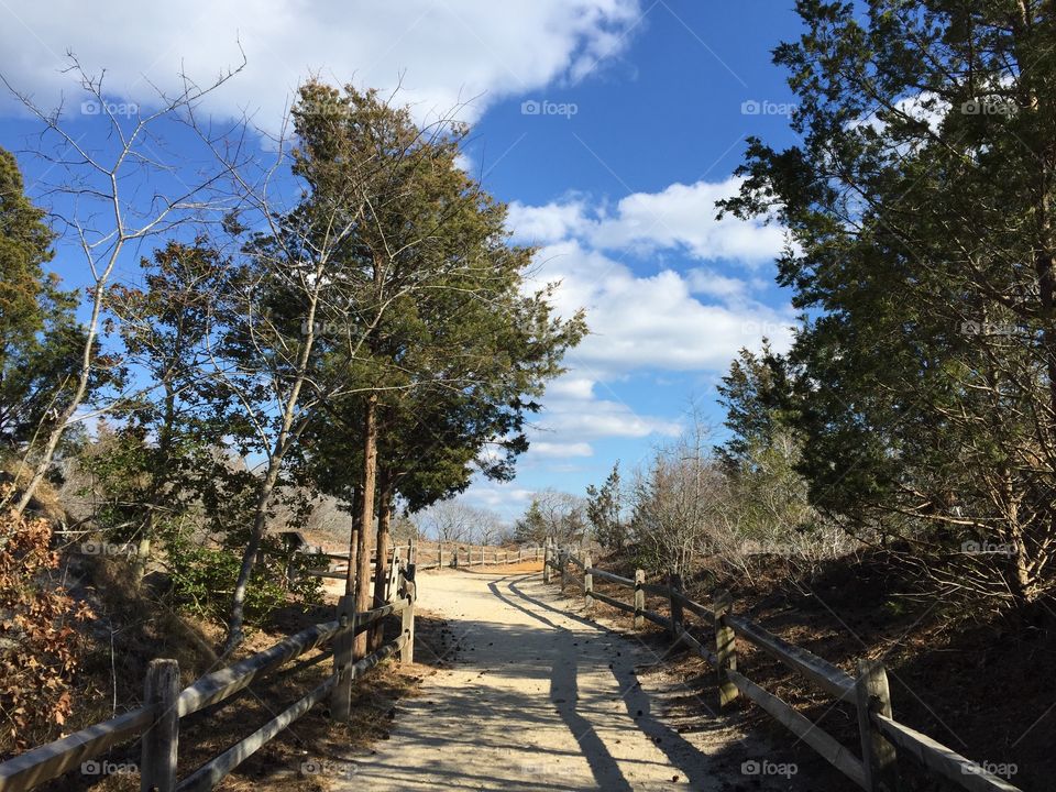Beach path, Avalon, NJ
