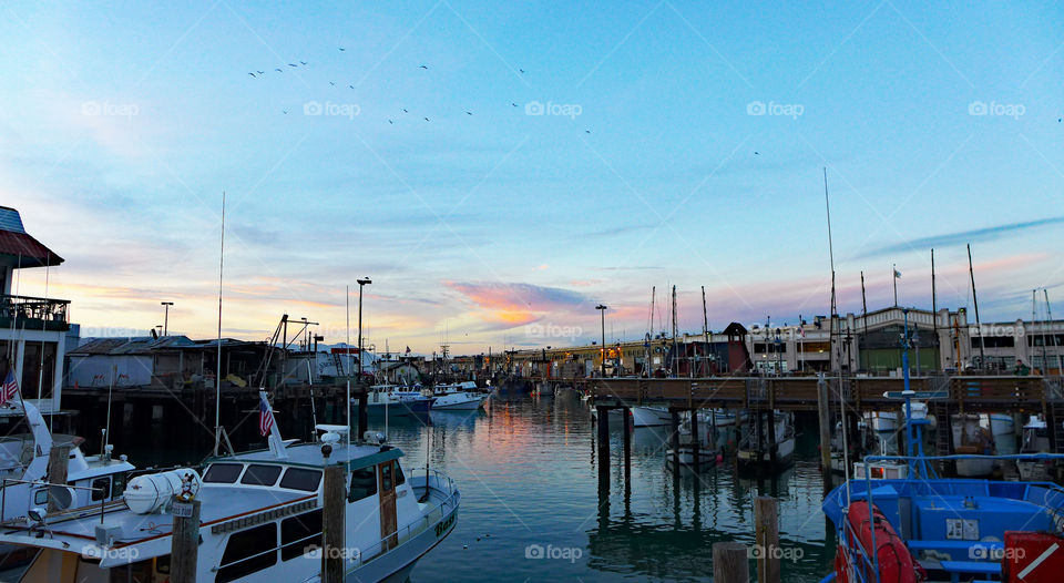 San Francisco, harbour