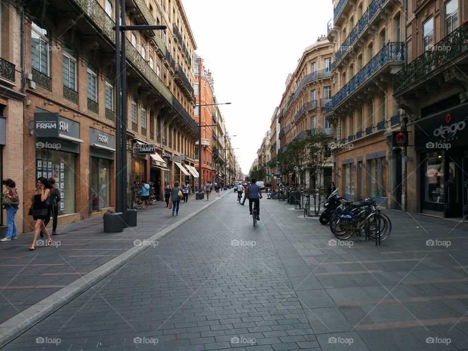 Shopping street in Toulouse