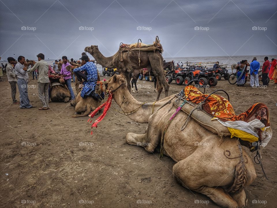 dumas beach, surat, gujarat, india