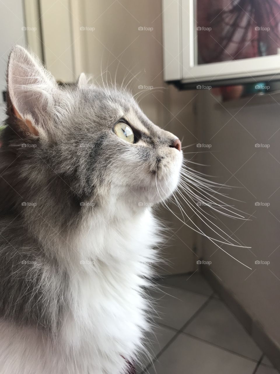 I envy your profile😍