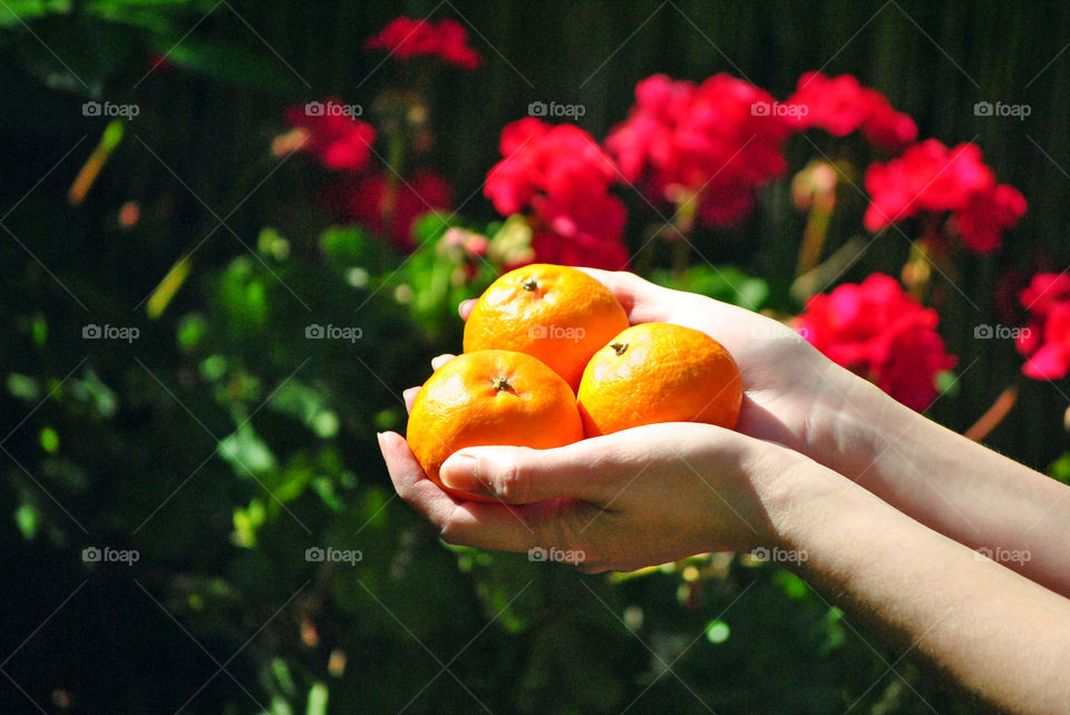 Oranges on hand
