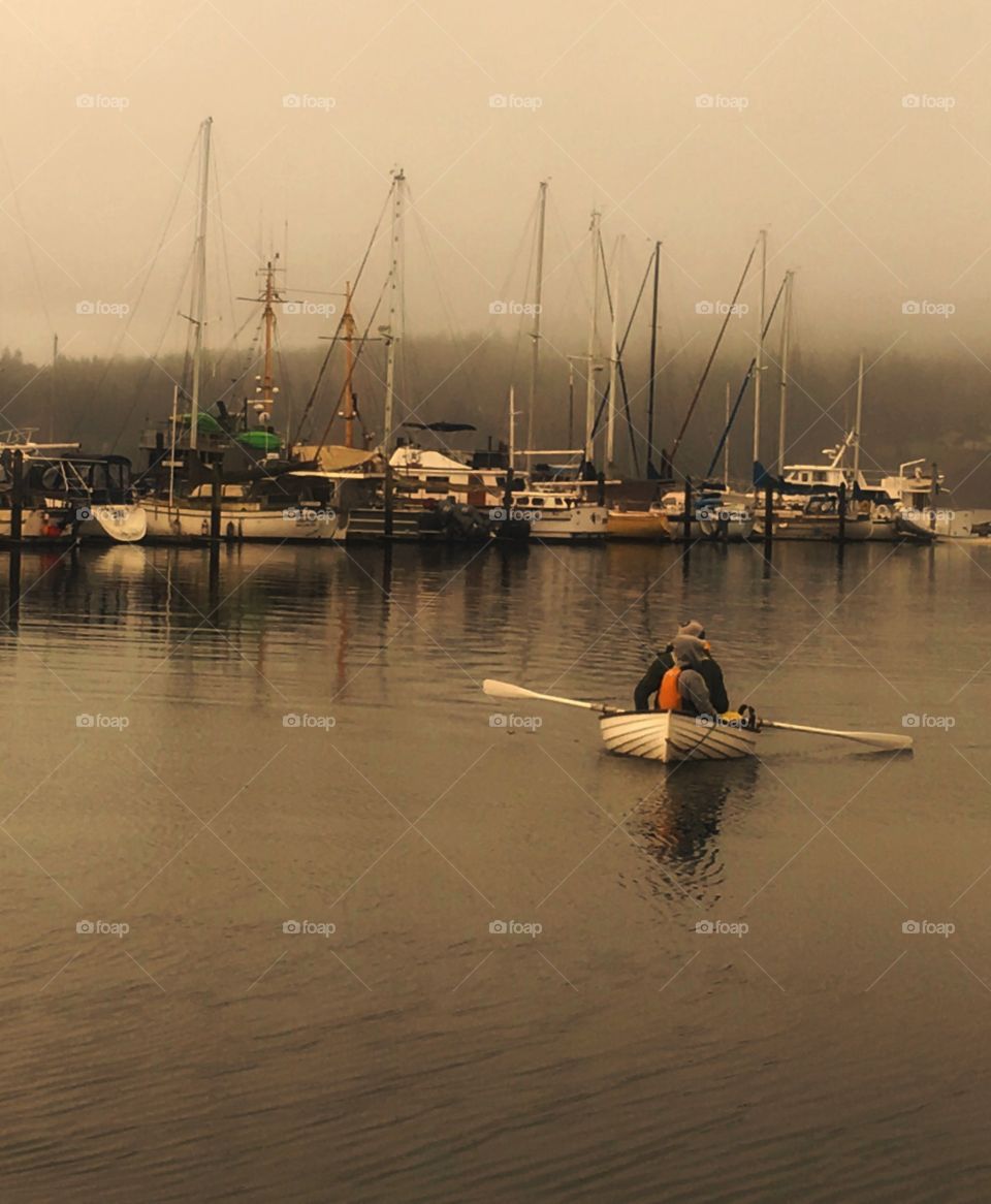 Foggy winter morning at the marina