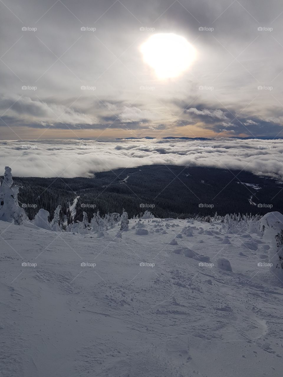 Ski run with inverted cloud layer and snow covered trees