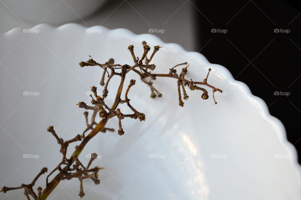 A branch of grapes in a white plate