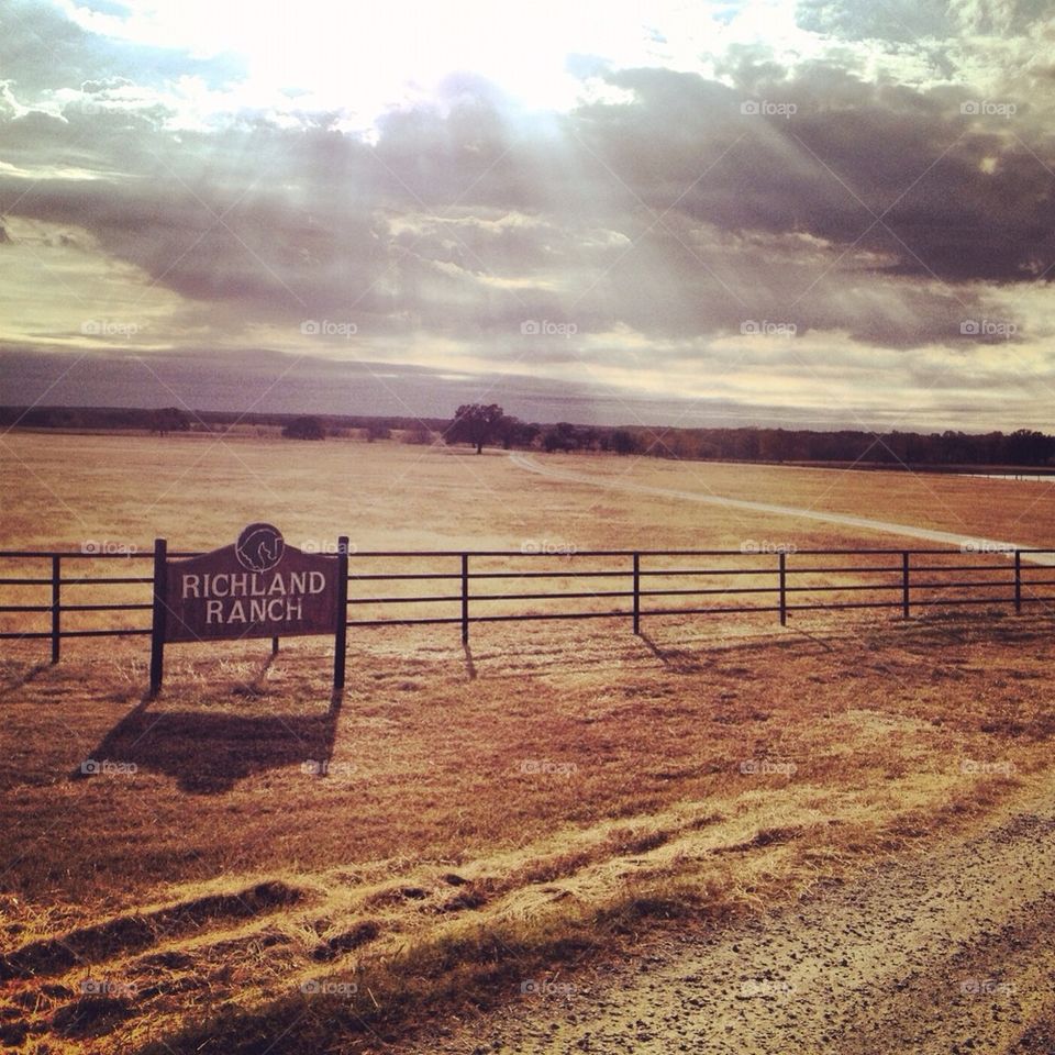 Sun Breaking Through