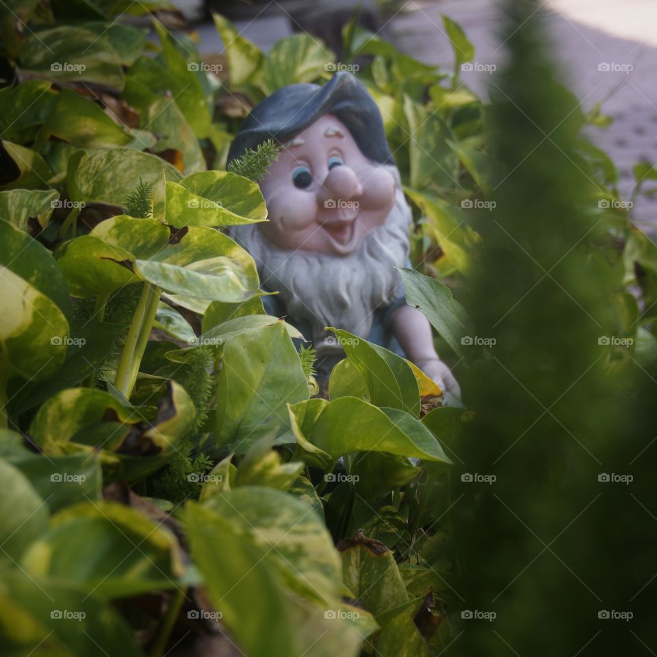 Gnome plays hide and seek