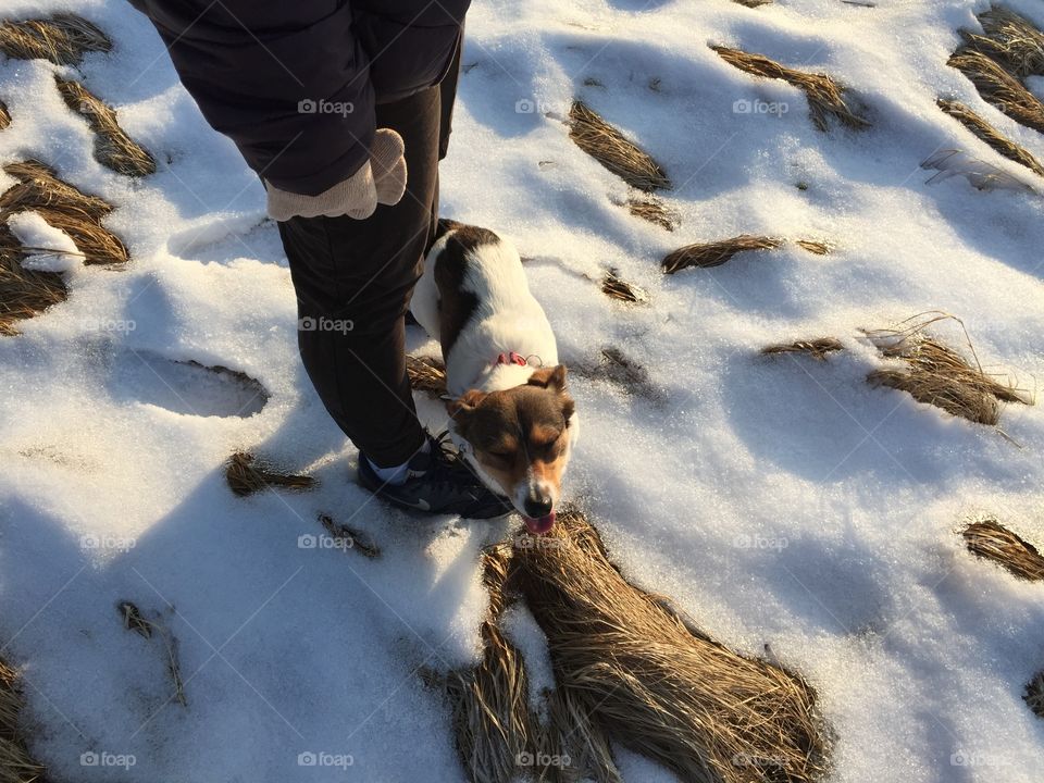 Snow, Winter, People, Cold, One