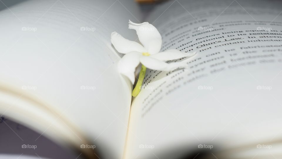 flower , book