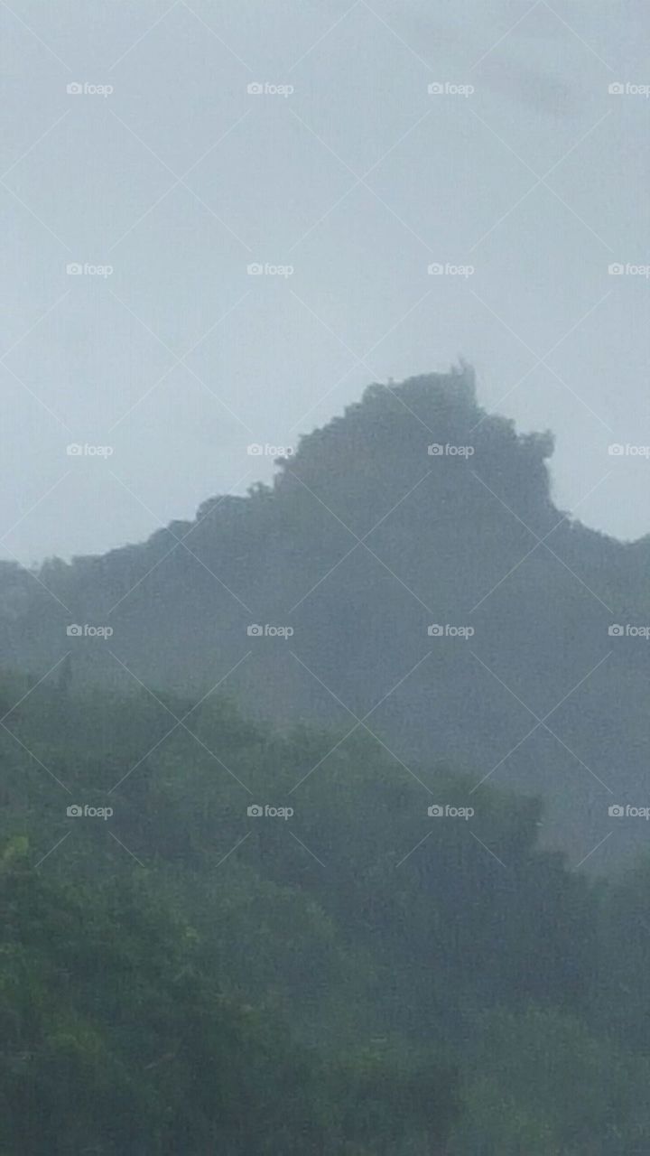 Misty moutaintop