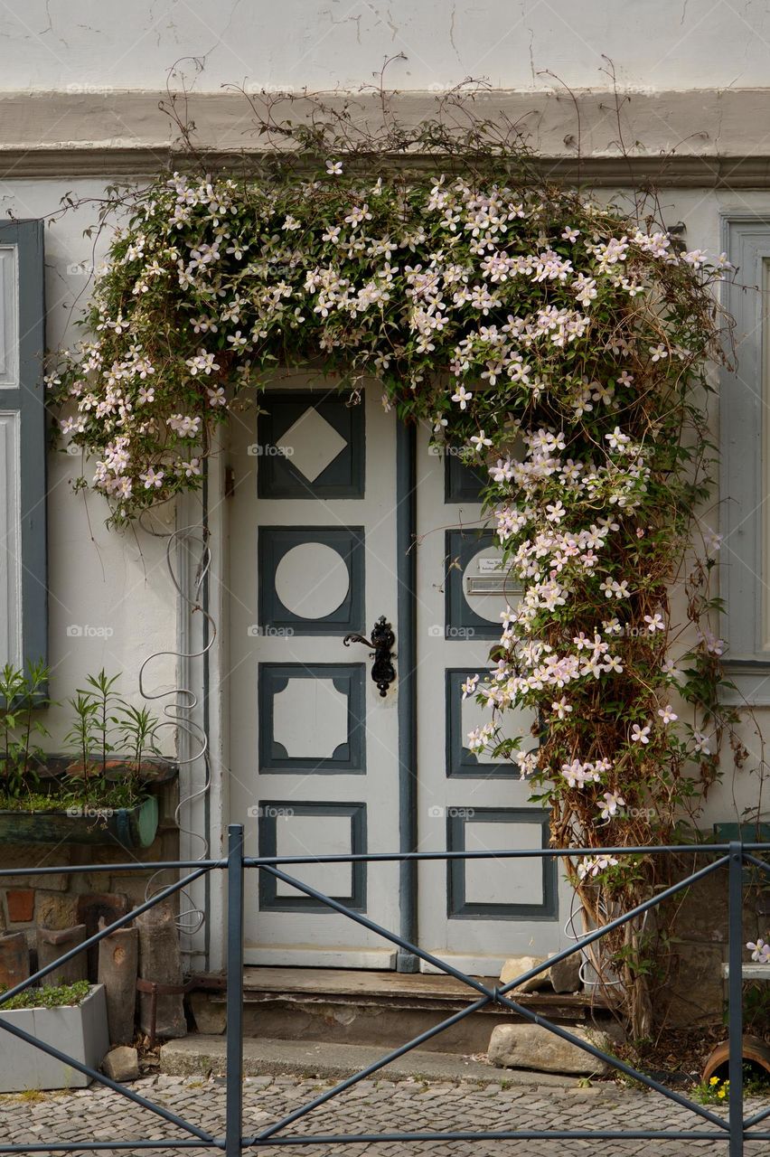 Old door covered with clematis