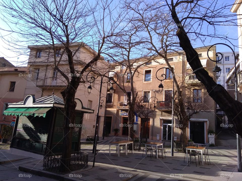 Editors' Choice: Photo of the Week