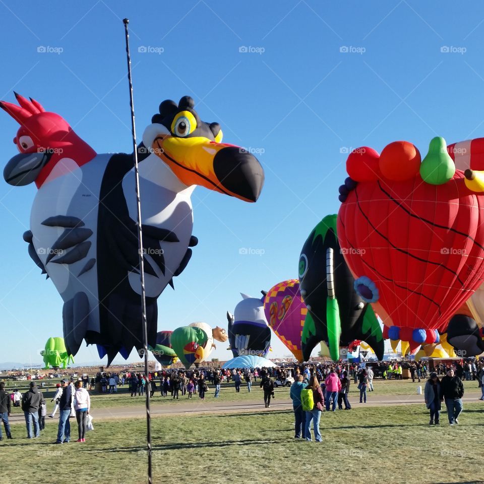 Brazilian Birds landing on field at the Albuquerque International Balloon Fiesta 2016, hot air balloon