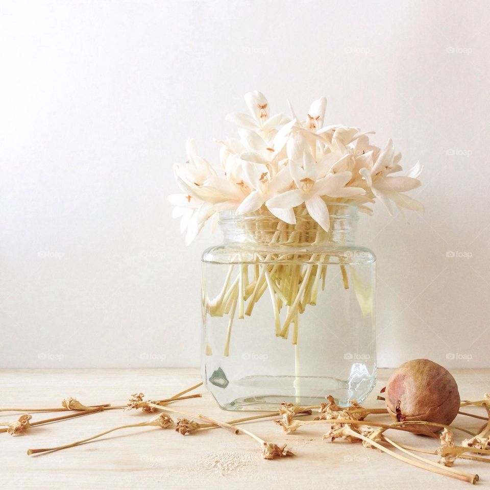 Close-uo of a white flowers in a jar