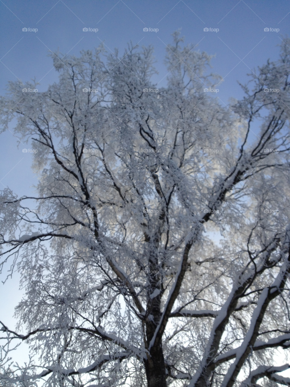 snow winter sky sweden by jempa