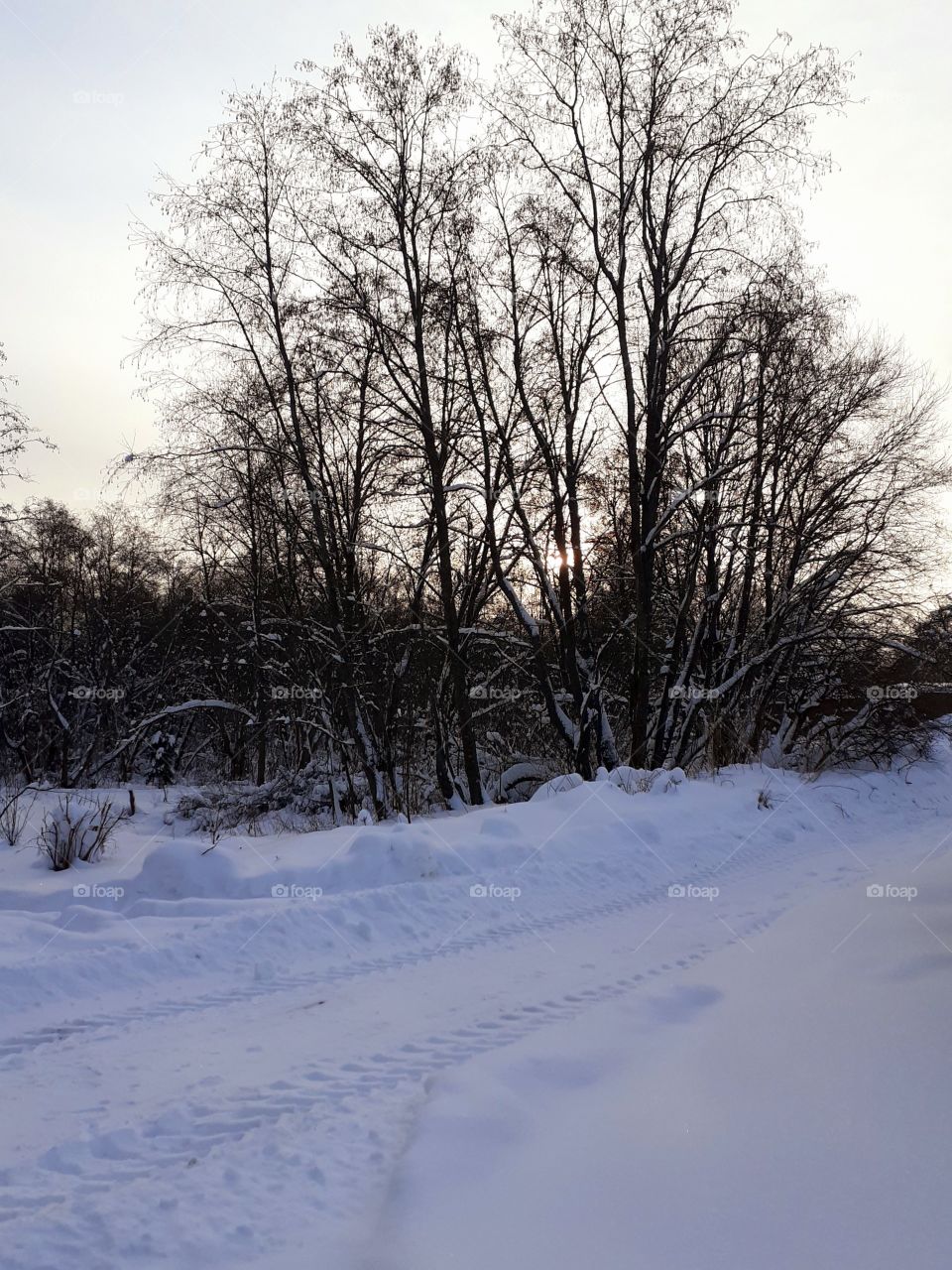 зимняя природа