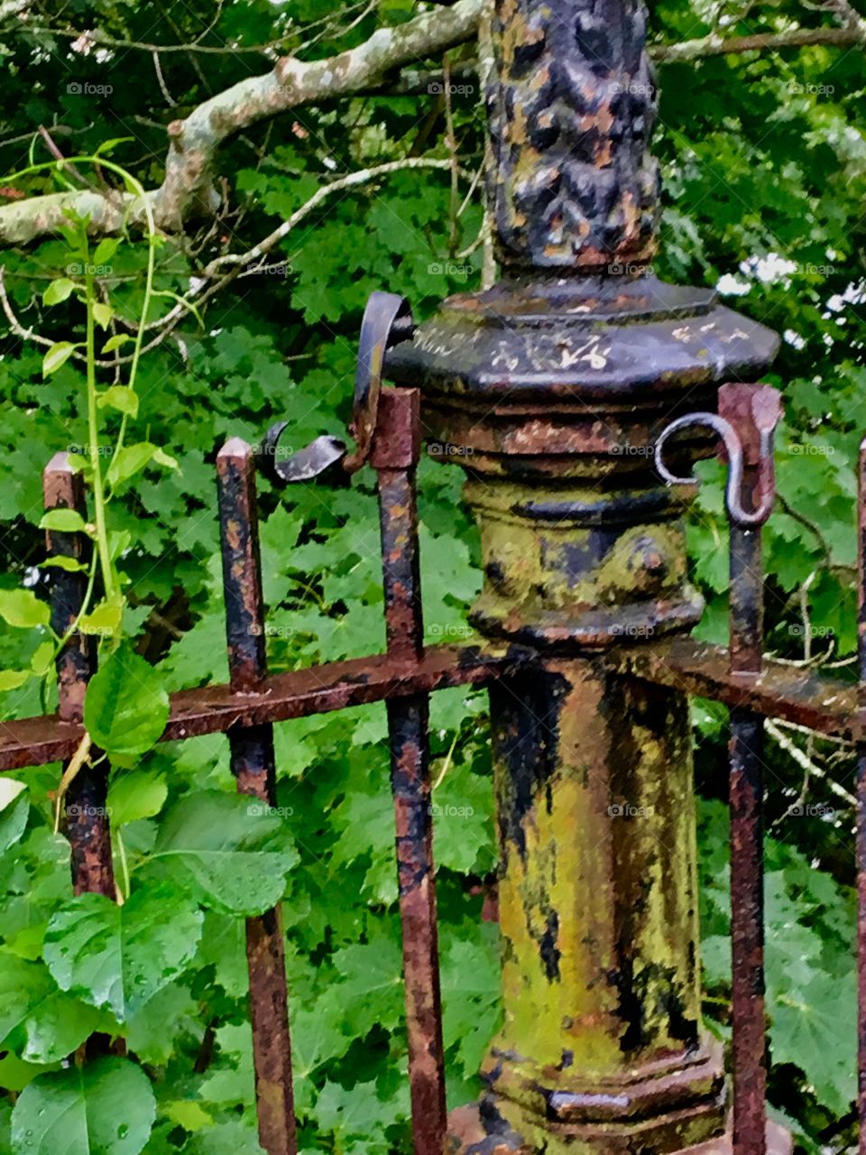 Old Bold Weathered Fence Post