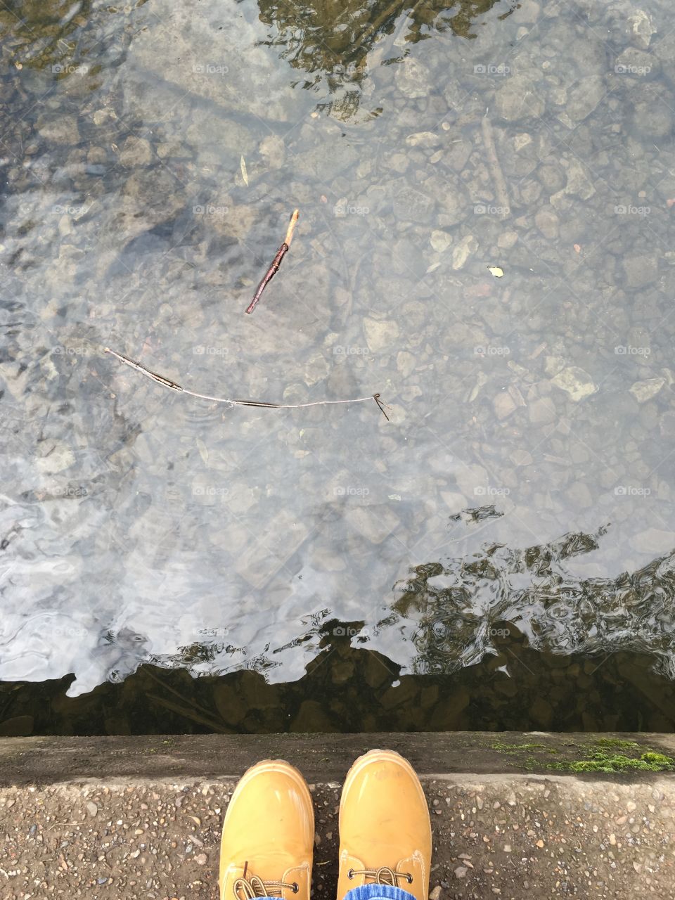 Playing pooh sticks 