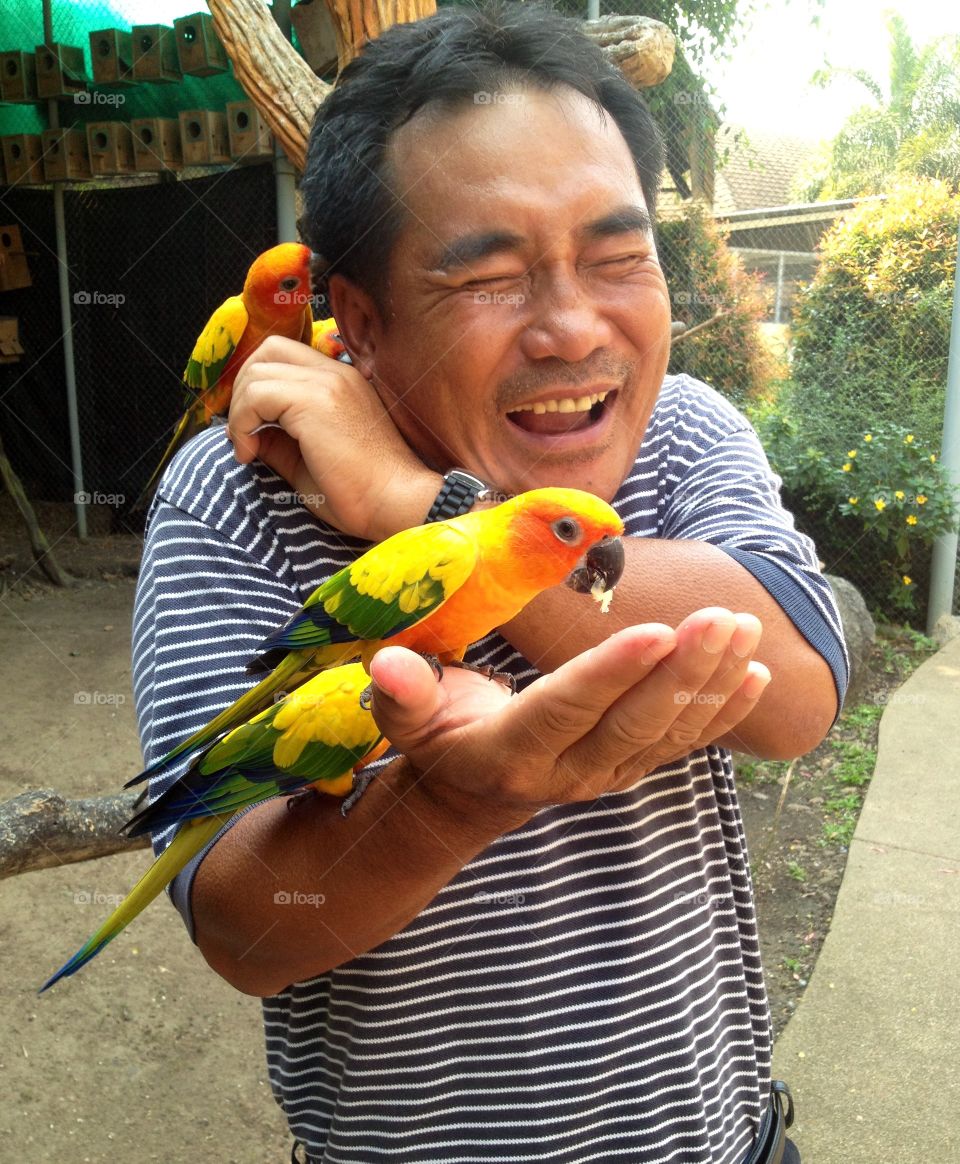 Don't bite my dad's ear !. The birds are trying to play with my dad  