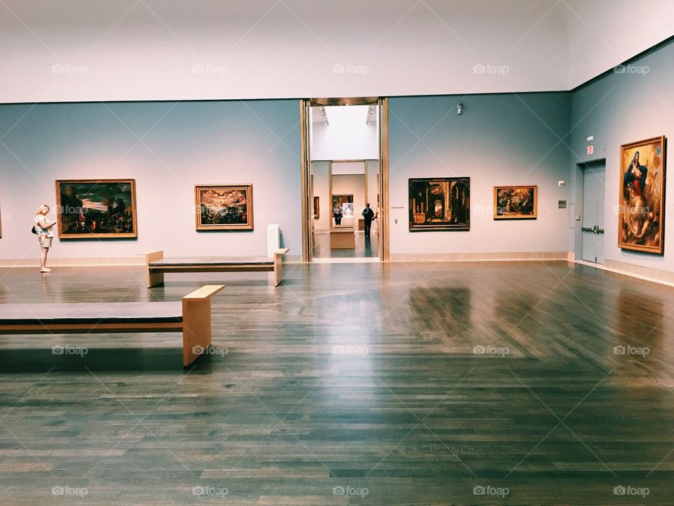 The Museum of Fine Arts, Houston 