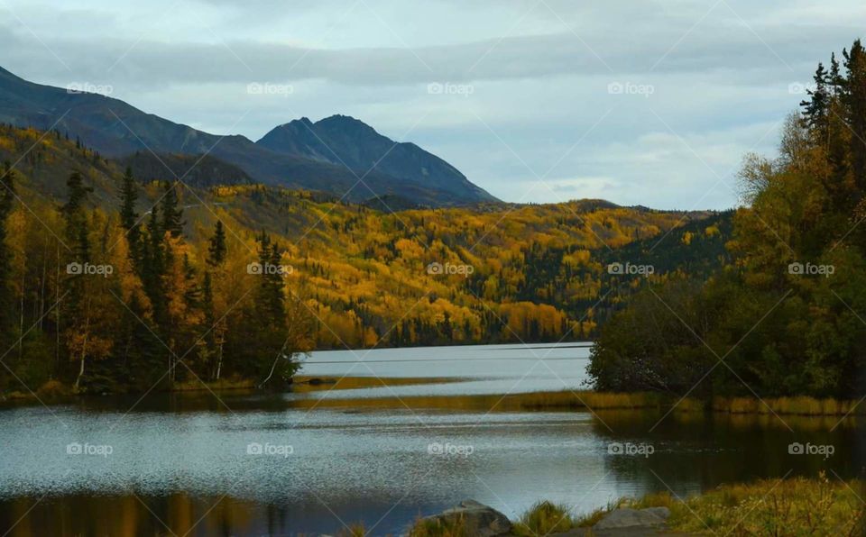 Alaska fall lake