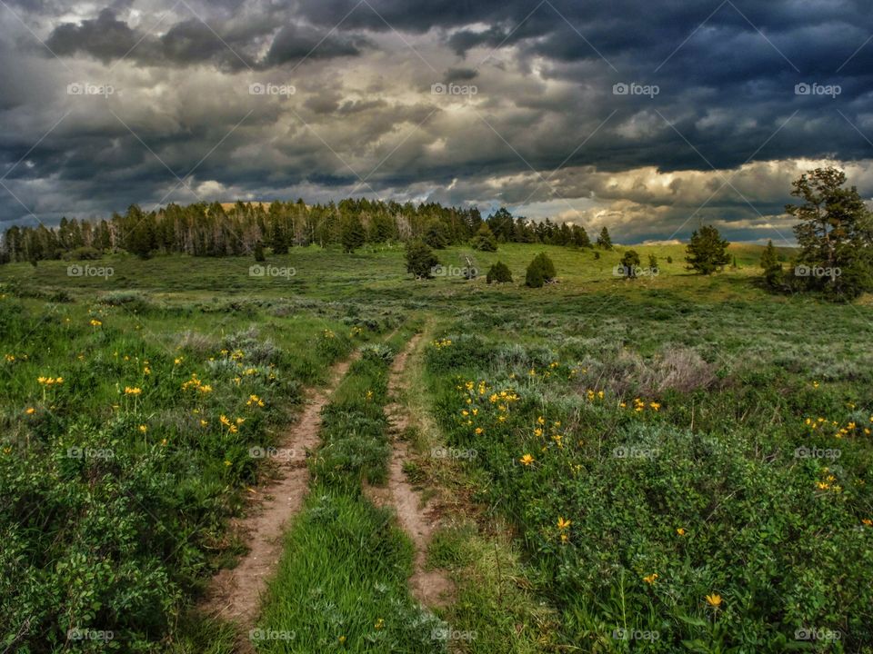 Road to clouds.