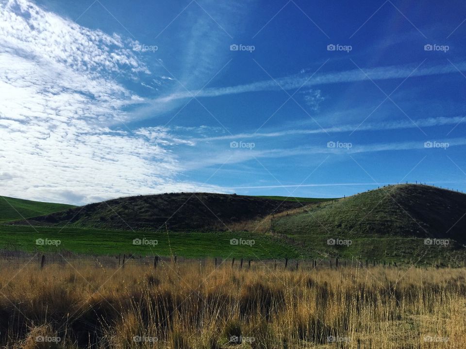 No Person, Landscape, Cropland, Outdoors, Daylight