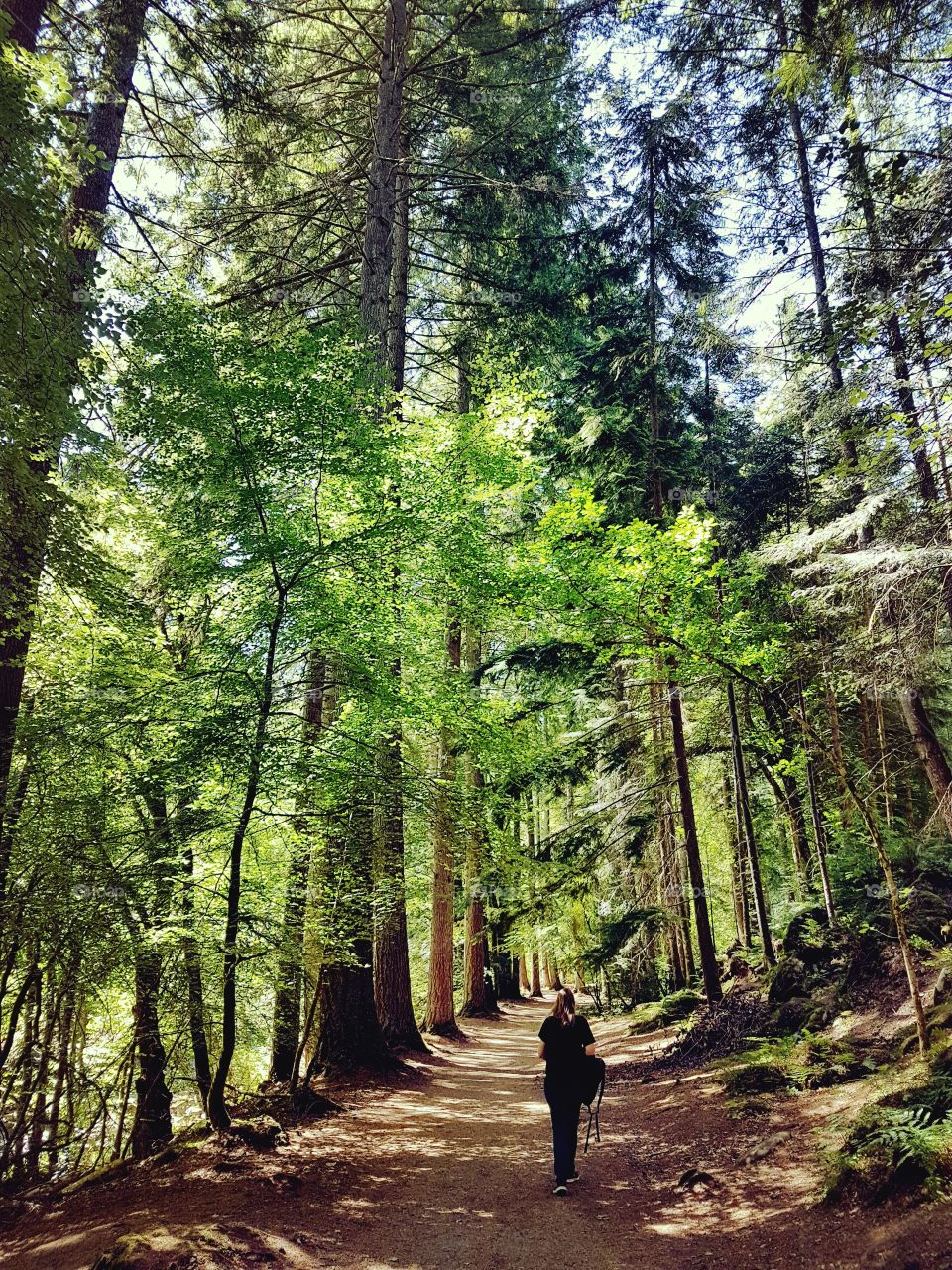 girl walking through forest in Scotland