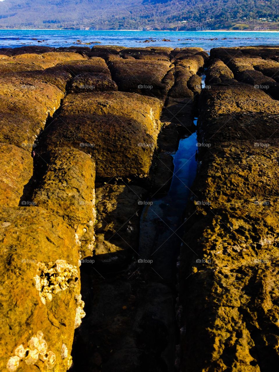 Fractures. Water filling the fracture at the tessellated pavement in Tasmania