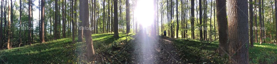 Baltimore state park panorama