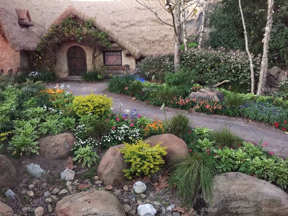Nestled cottage with plants,flowers and landscaping.