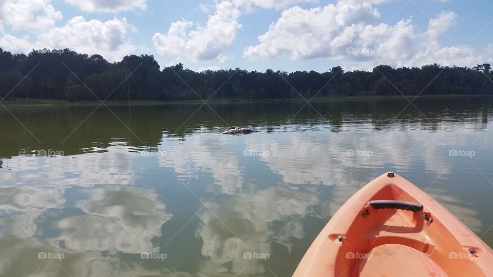 Water, Lake, River, Reflection, No Person