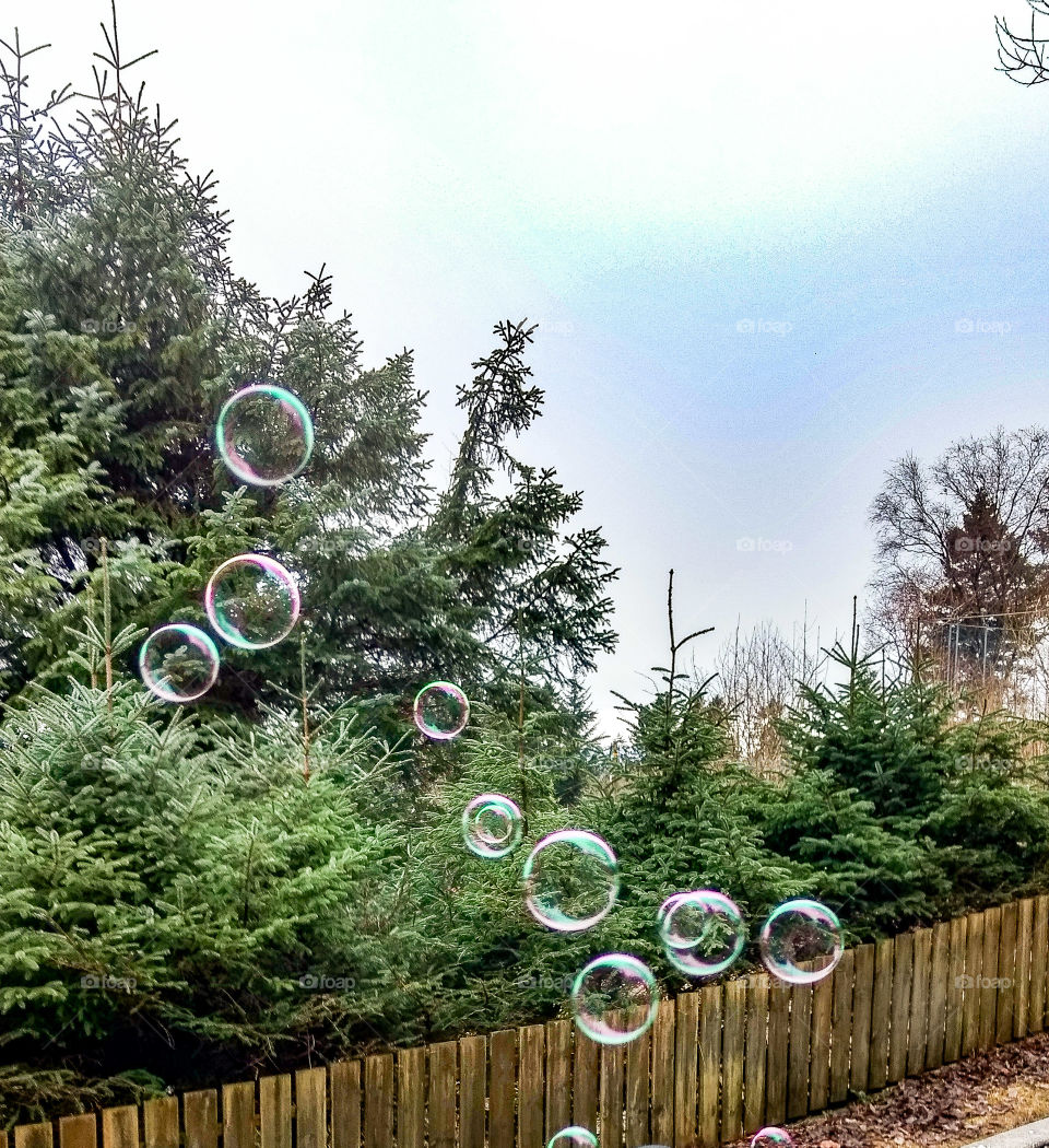 bubbles