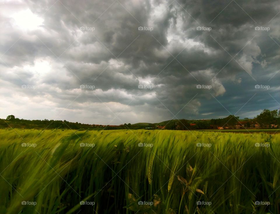 Before a serious storm