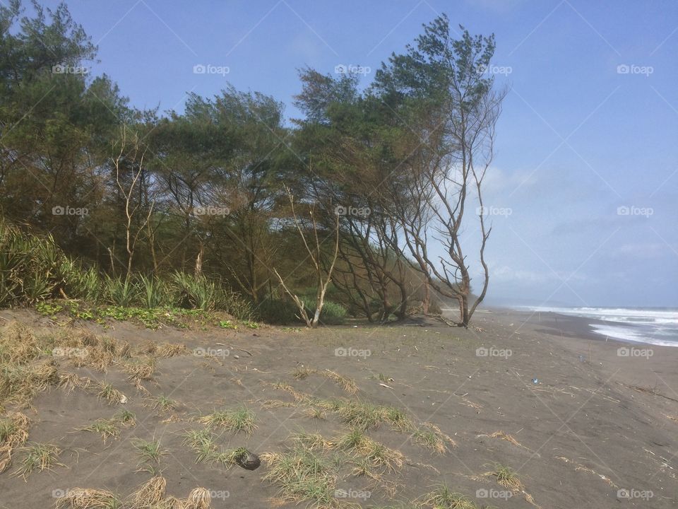 Beach bantul yogyakarta