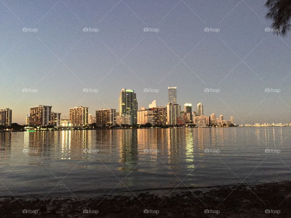 Miami in the bay