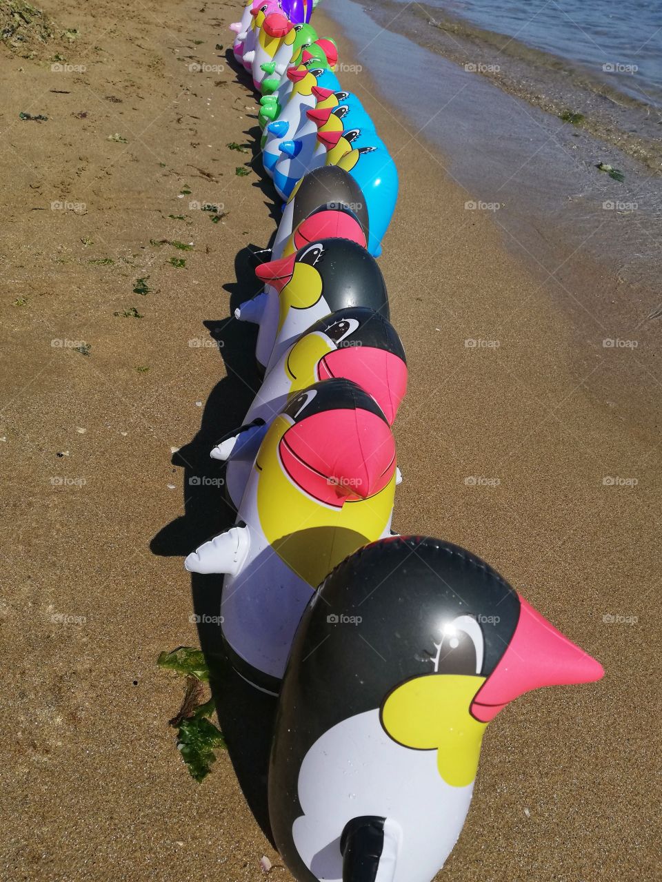 Inflatable penguins lined up on the beach