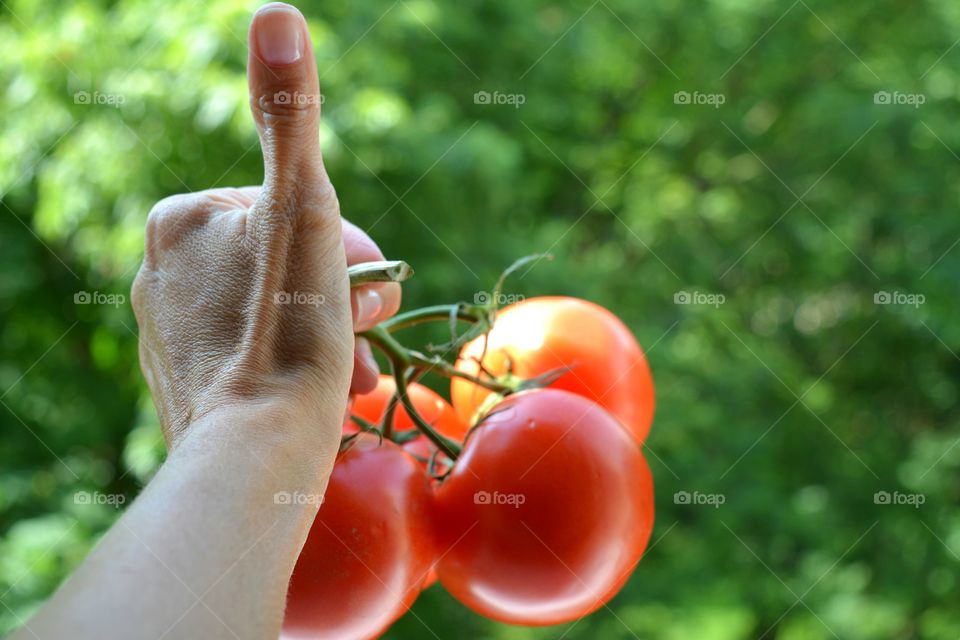 Close-up of a woman holding bunch of tomatoes