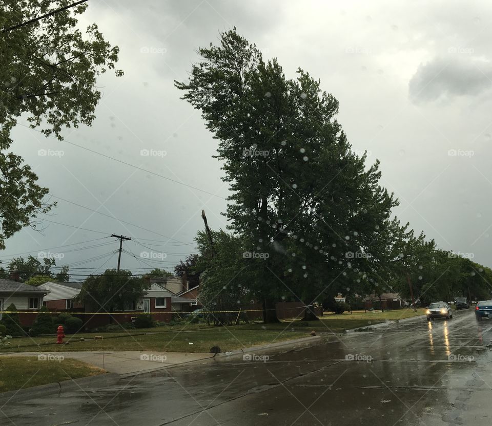 Tree fell on power lines