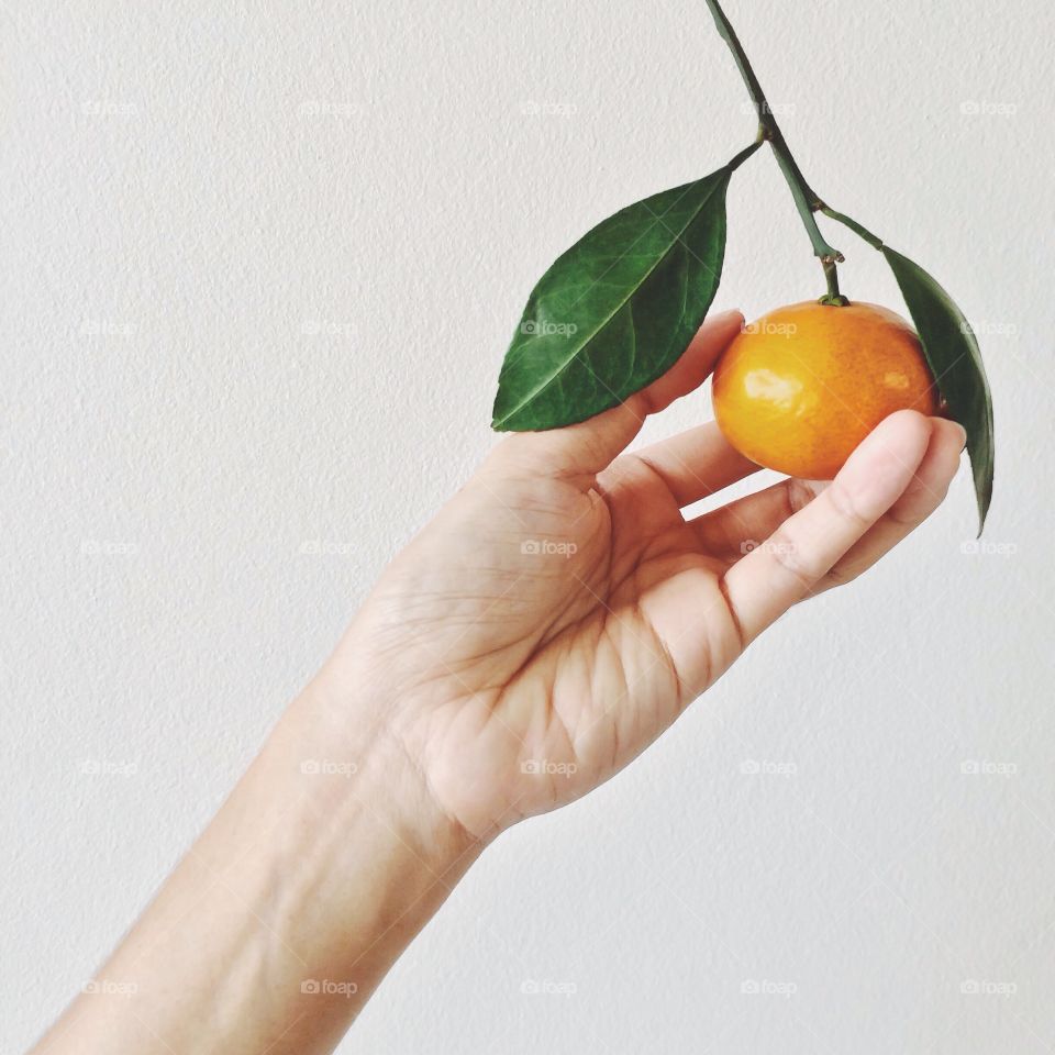 person holding orange