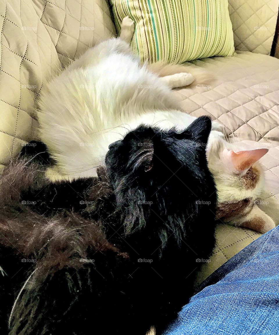 These two guys are brothers 