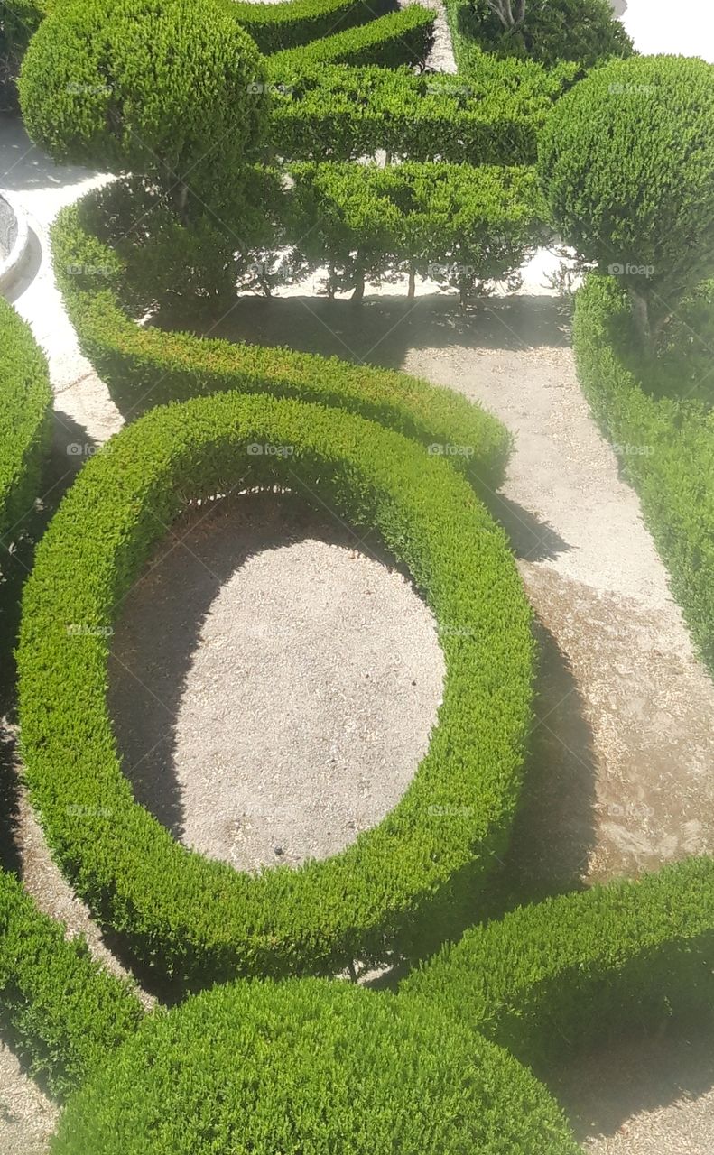 royal garden in Sintra
